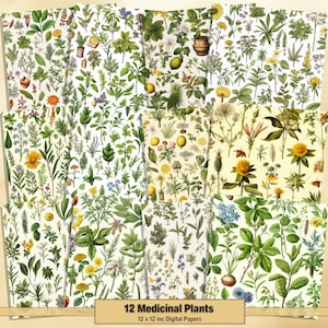 Printable Medicinal Plants Digital Paper, Botanical Pages, Vintage Background, Ephemera, Download Junk Journal, Scrapbooking, Card Making