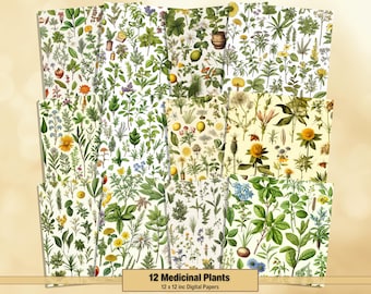 May include: Twelve digital papers featuring vintage illustrations of medicinal plants. Each paper is 12 inches by 12 inches and features a different plant, including chamomile, lavender, and rosemary.