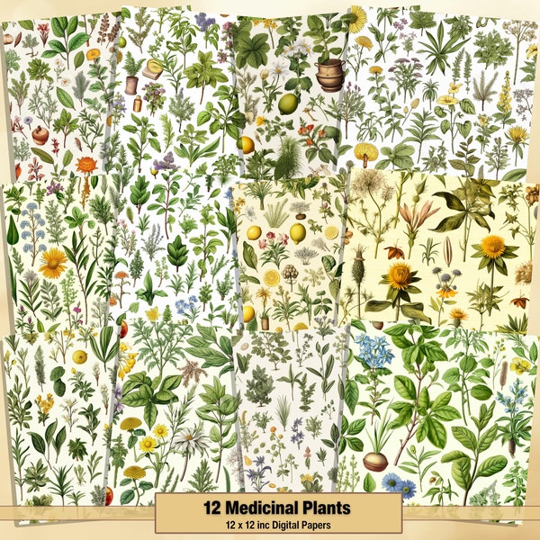 Medicinal Plants - Etsy