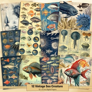 Puede incluir: Doce papeles digitales con ilustraciones vintage de criaturas marinas. Los papeles incluyen imágenes de peces, medusas y otras criaturas marinas. Los papeles miden 30,5 cm por 30,5 cm.