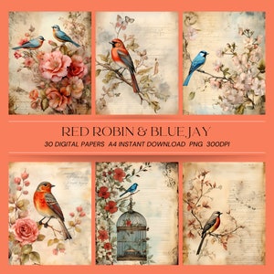 30 Vintage Bird and Blossom Journal Pages - Blue Jays, Robins, and florals - Digital Printable for Crafters, Scrapbooks, and Journals
