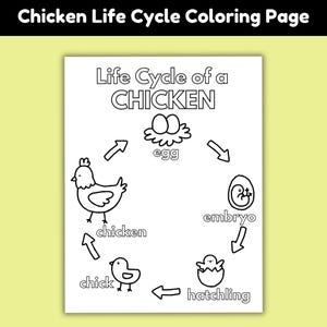 Chicken Life Cycle Coloring Page Printable, Farm Animal Worksheet, Science Activity Sheet, Poultry Educational PDF, Kids Learning Craft