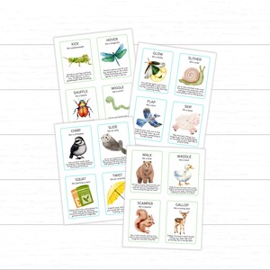 spring movement cards