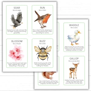 spring movement cards
