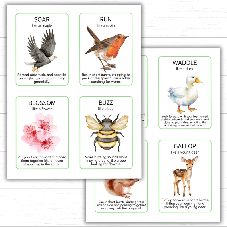 spring movement cards