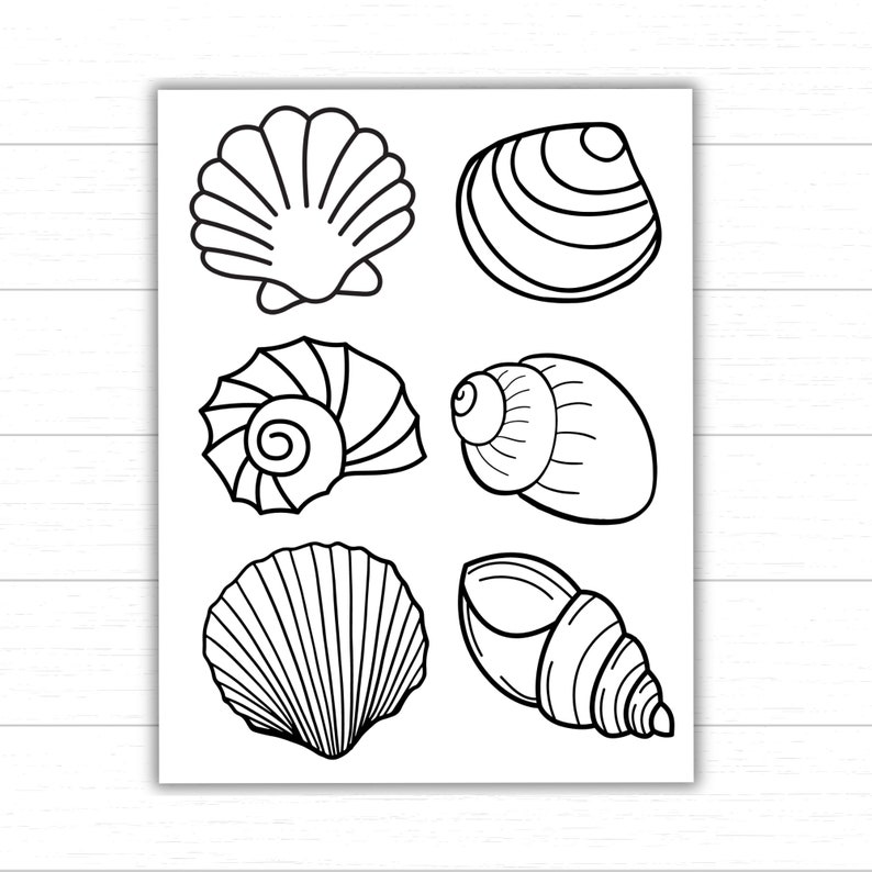 Seashell Coloring Pages, Seashell Art, Printables for Kids, Ocean ...