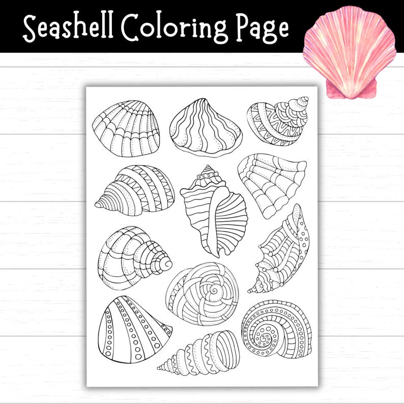 Printable Seashell Coloring Page, Beach Coloring Sheet, Shell Crafts ...