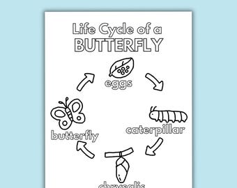 Printable Butterfly Life Cycle Coloring Page for Kids, Fun Science Activity, Worksheet, Educational, Spring Science, Preschool, Kindergarten
