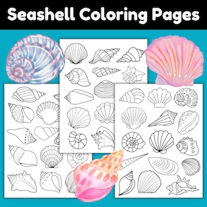 Printable Seashell Coloring Pages, Seashell Templates for Crafts and Activities, Beach Printables for Kids, Ocean Themed Unit, Shell Crafts