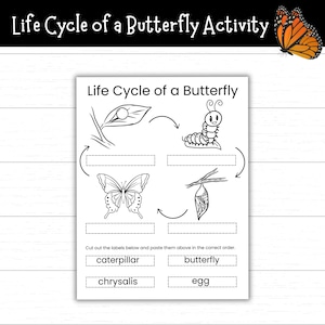 Life Cycle of a Butterfly Cut and Paste Activity, Printable Butterfly Life Cycle Coloring Page, Life Cycle of a Butterfly Coloring Pages