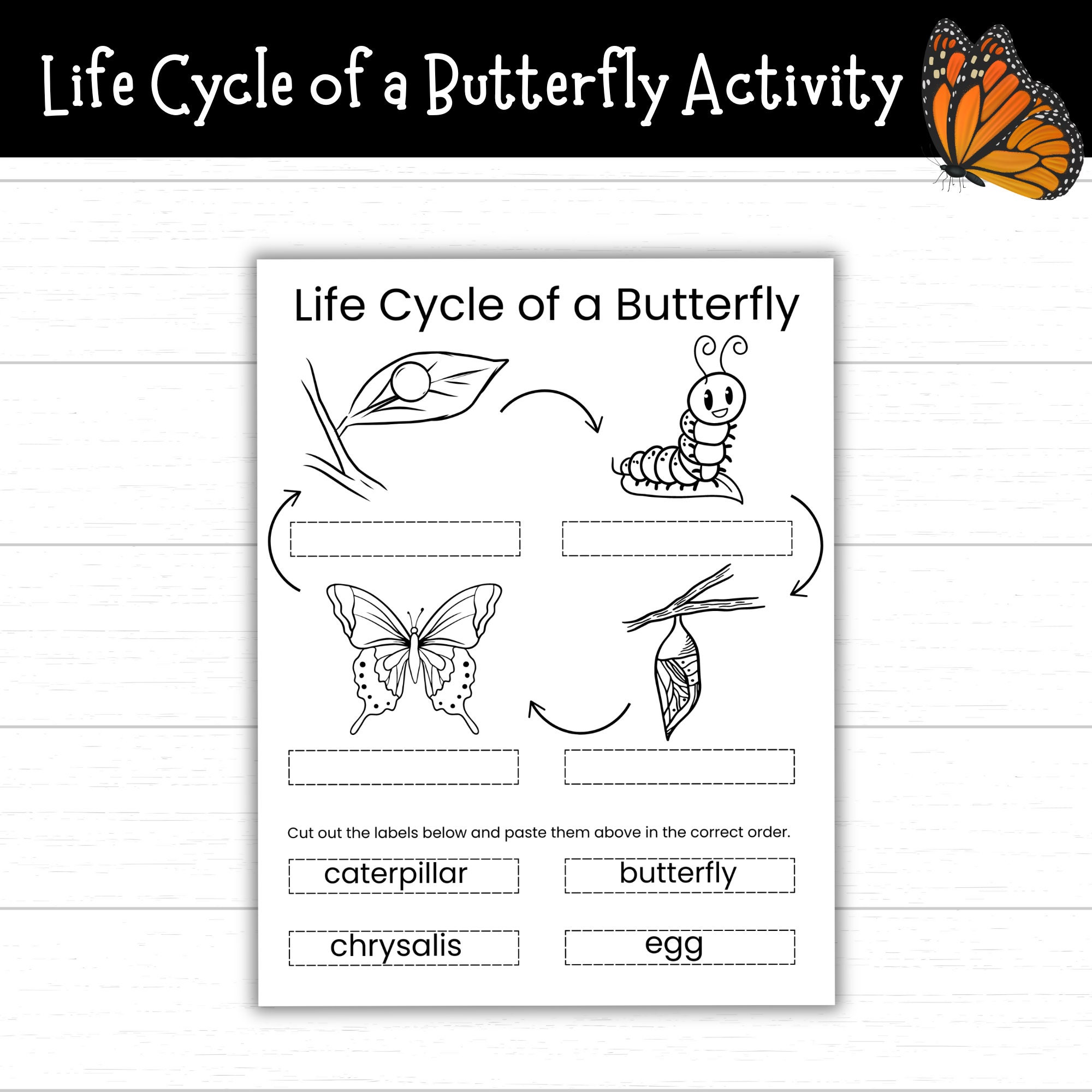 life-cycle-of-a-butterfly-cut-and-paste-activity-printable-butterfly-life-cycle-coloring-page-life-cycle-of-a-butterfly-coloring-pages-etsy