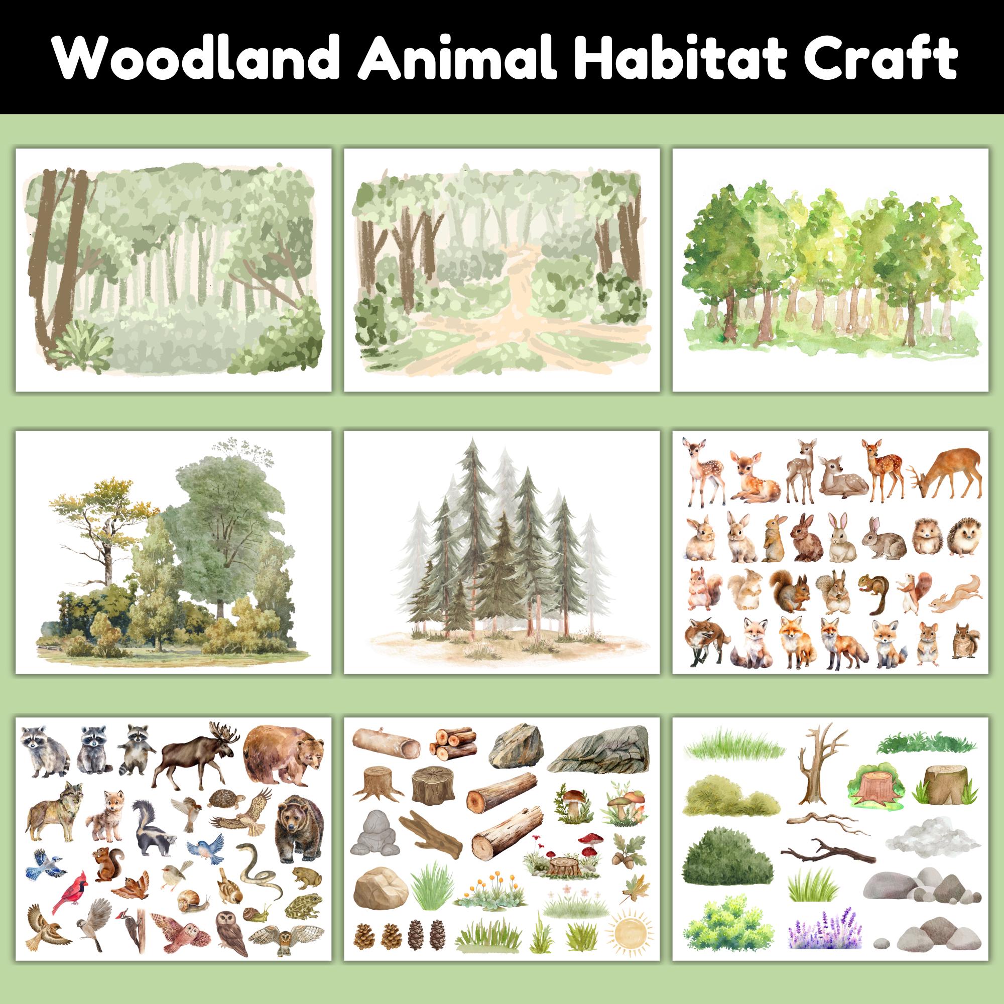 36 DIY Nature Crafts for Kids 3 Woodland Animal Habitat Craft for Kids Cut and Paste Forest Animal…