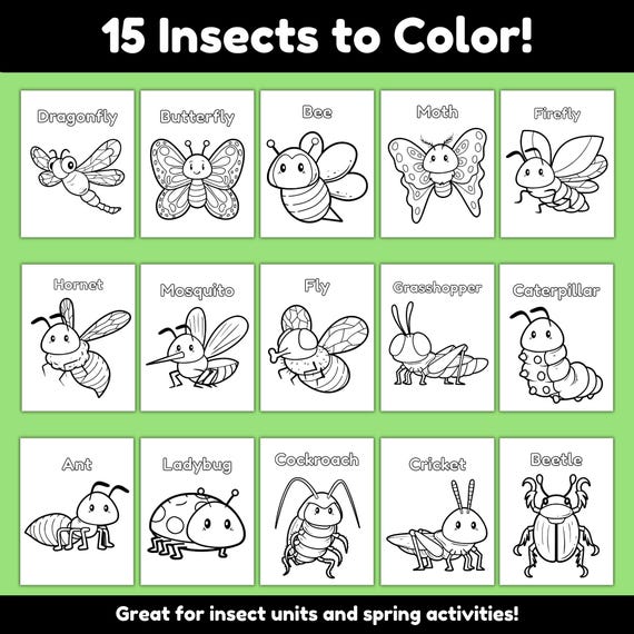 Printable Different Insects Insects Pictures Printable For Kids
