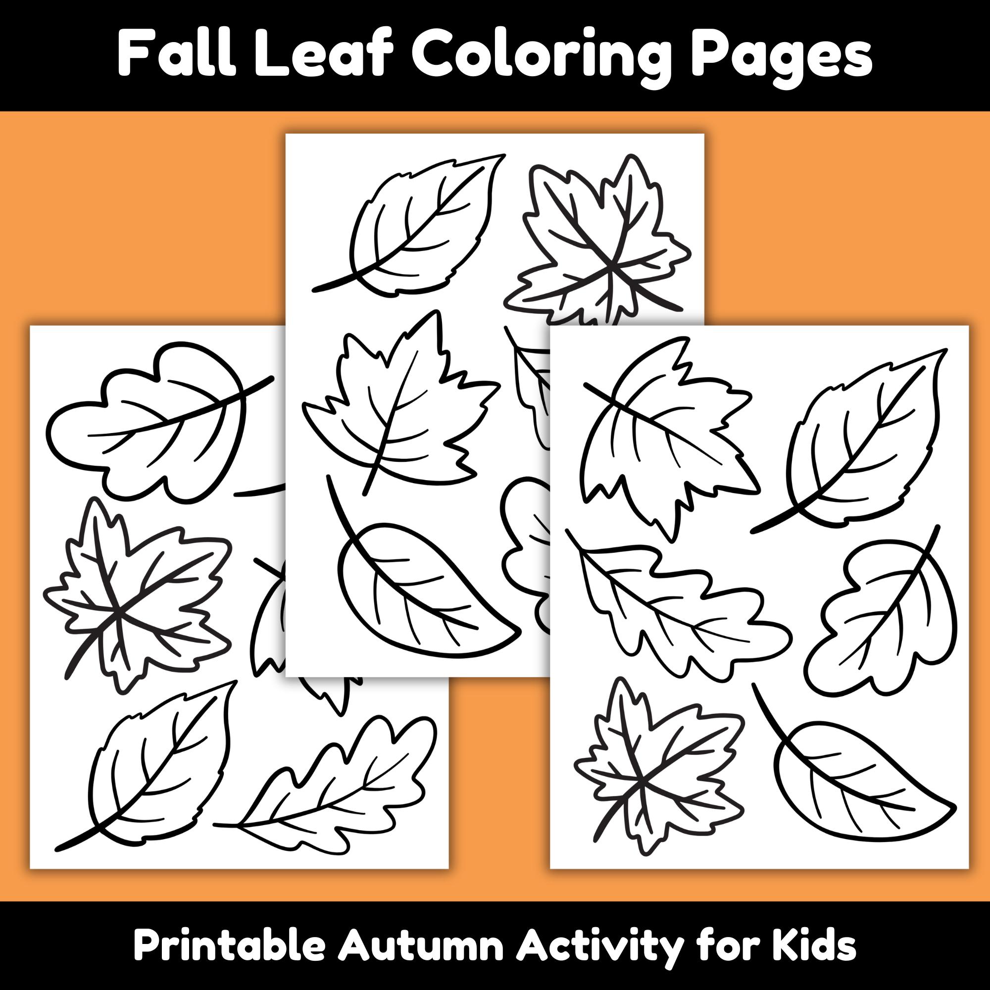 36 DIY Nature Crafts for Kids 20 Fall Leaf Coloring Pages for Kids Printable, Autumn Leaves Activity…