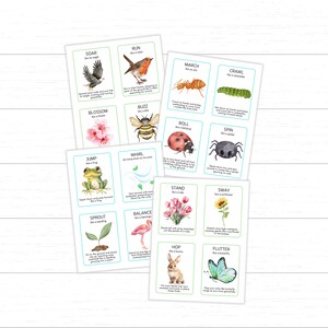 spring movement cards
