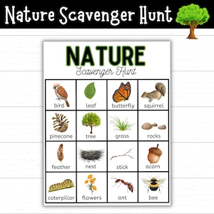 Nature Scavenger Hunt Printable, Kids Outdoor Activity, Educational Exploration Game, Instant Download, Seek and Find, Scavenger Hunts