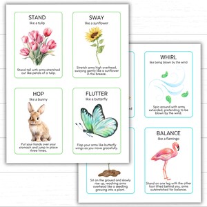 spring movement cards