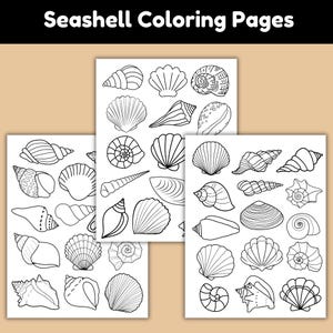 Dibujos para colorear de conchas marinas, plantillas de conchas marinas para manualidades y actividades, imprimibles de playa para niños, unidad temática del océano, manualidades con conchas marinas