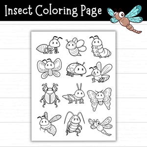 Insect Coloring Page Printable, Bug Coloring Sheet, Nature Activity, Science Worksheet, Insect Unit, Bug Craft for Kids, Cute Bug Printable