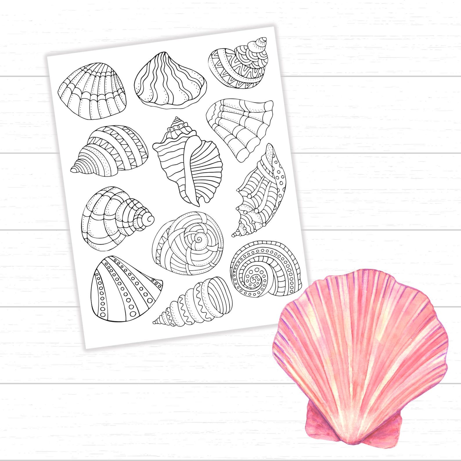 Shell To Color Printable Seashell Coloring Page, Beach Coloring Sheet, Shell Crafts ...