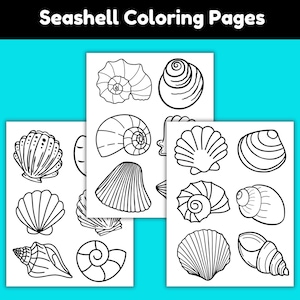 Seashell Coloring Pages Printable, Blank Seashell Templates for Crafts, Ocean Theme Crafts for Kids, Beach Activity, Shell Printables, PDF