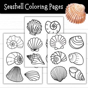 Seashell Coloring Pages Printable, Seashell Templates to Color and Cut ...