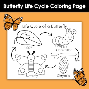 Butterfly Life Cycle Coloring Page Printable, Butterfly Worksheet for Kids, Preschool Science Activity, Homeschool Life Cycle Unit Study