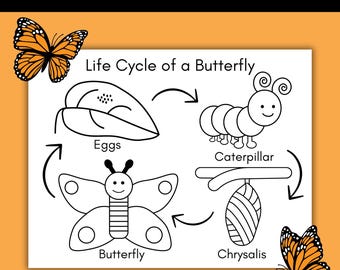 Butterfly Life Cycle Coloring Page Printable, Butterfly Worksheet for Kids, Preschool Science Activity, Homeschool Life Cycle Unit Study