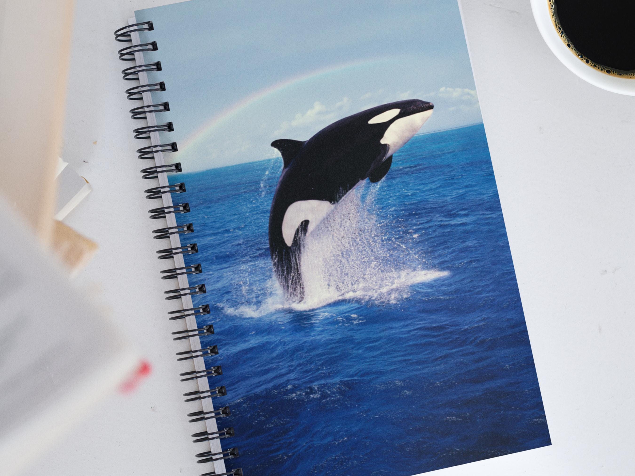 Just A Girl Who Loves Dolphins: Notebook / Journal / Diary / Notepad