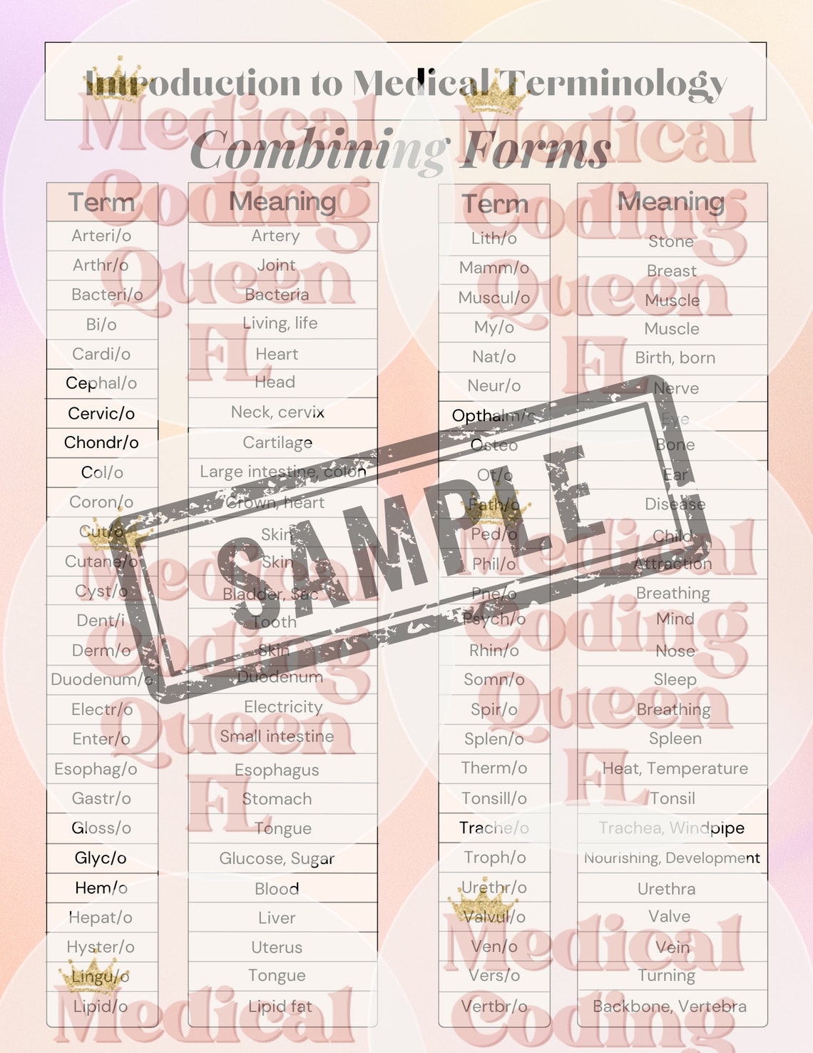 Introduction to Medical Terminology Bundle Study Guide Medical Coding