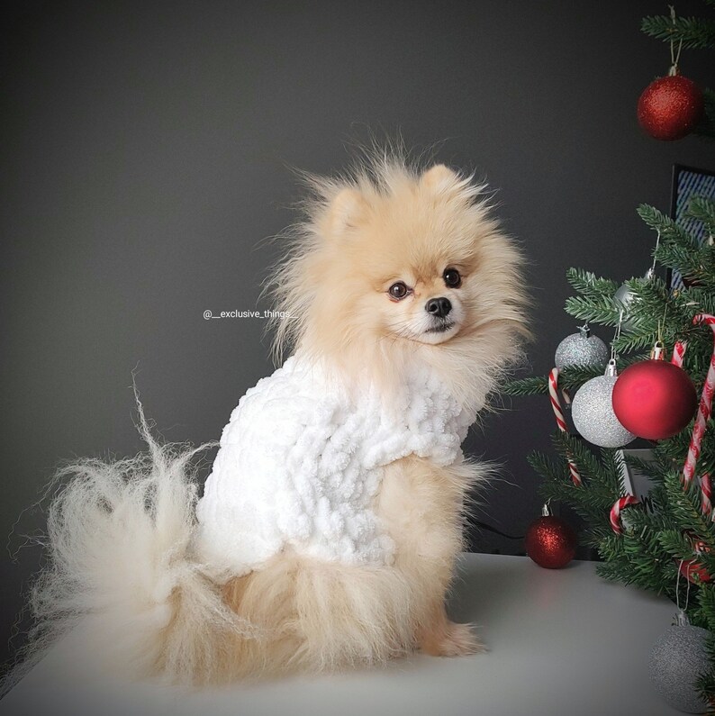 Easy PDF Pattern Crochet Dog Sweater Knitted Clothes for Dog Etsy