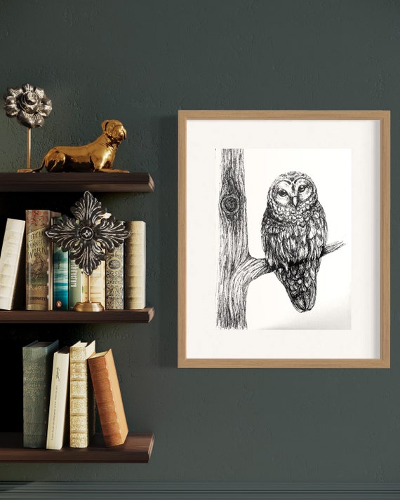 Owl Pen and Ink Fine art Print