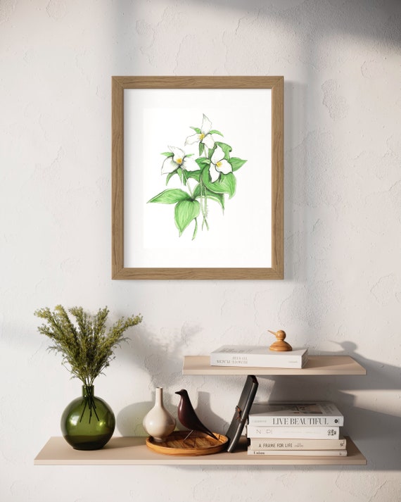 Hand painted water color Trillium Print