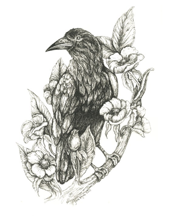 Hand Drawn Raven Print