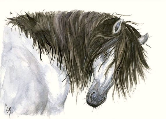 Grey Wild Horse
