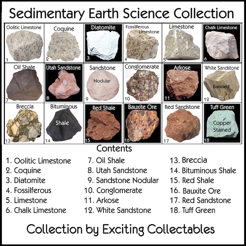 Sedimentary Rock Collection – 18 Numbered Specimens W/ Display Case ...