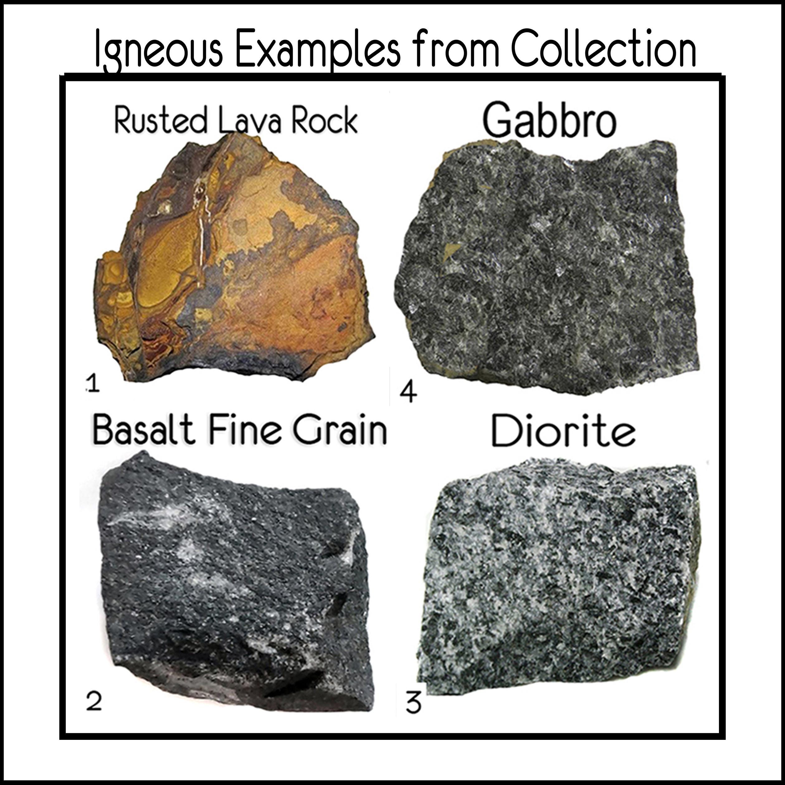 Igneous Rock Collection – 18 Numbered Specimens W/ Locking Case ...