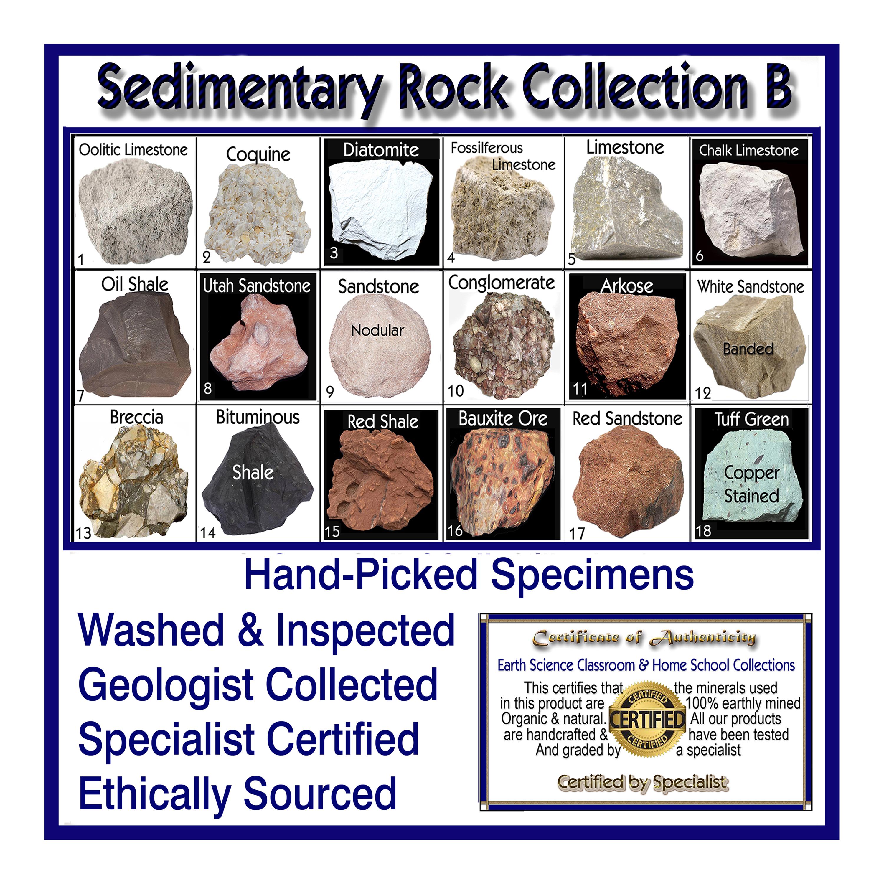 Sedimentary Rock Collection B – 18 Specimens W/ Display Case