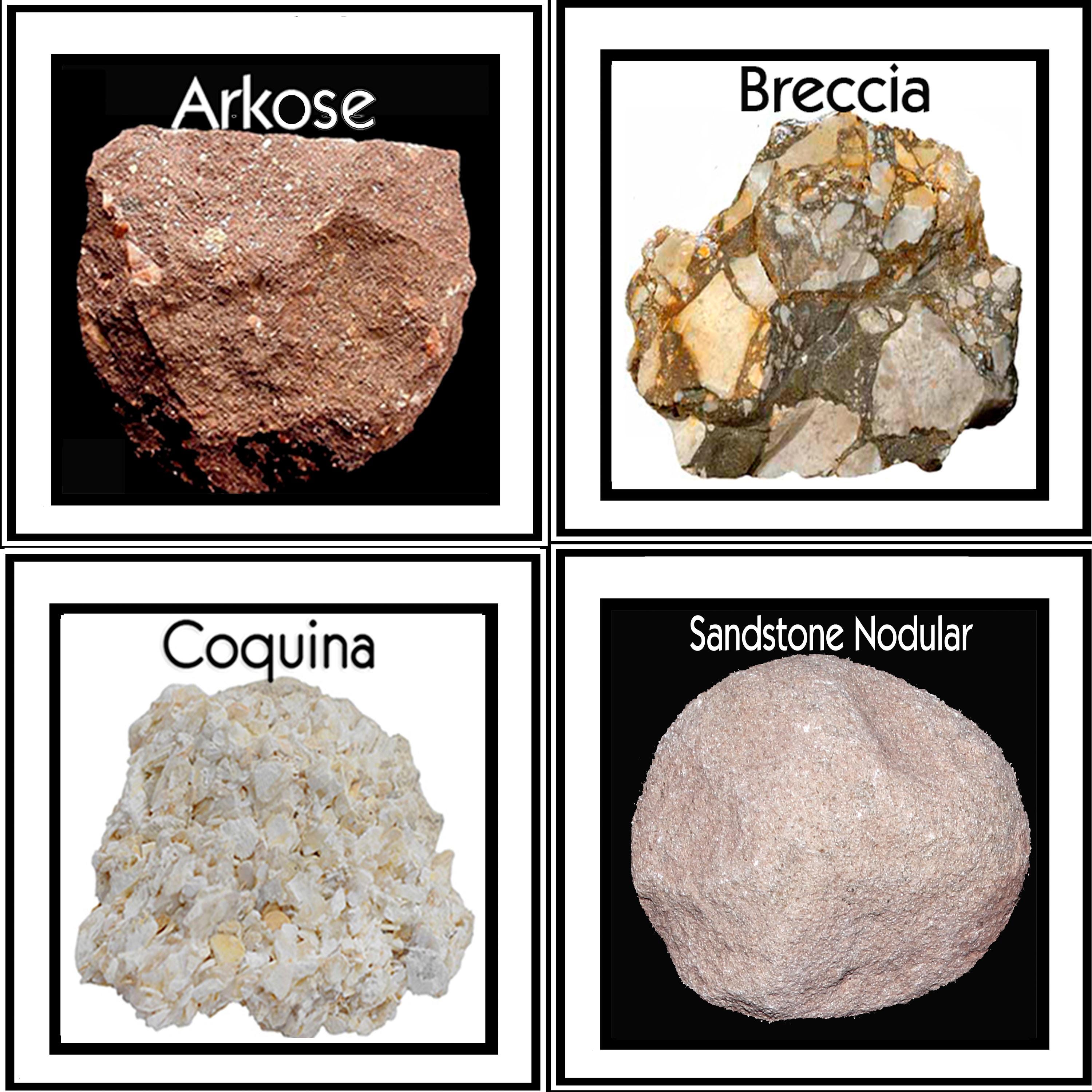 Sedimentary Rock Collection B – 18 Specimens W/ Display Case