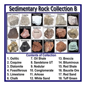 May include: A Sedimentary Rock Collection B display board featuring 18 numbered rock specimens including Oolitic Limestone, Coquine, Diatomite, Fossiliferous Limestone, Limestone, Chalk, Oil Shale, Utah Sandstone, Nodular Sandstone, Conglomerate, Arkose, White Sandstone, Breccia, Bituminous Shale, Red Shale, Bauxite Ore, Red Sandstone, and Tuff Green.