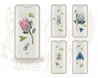 King Protea Flower Art Minimalist Wallpaper Set Boho Phone Background Sage Green iPhone Background Insect Illustration Screen Saver Bundle
