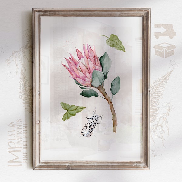 Fine Art Painting Pink Protea Flower Art Work Hot Pink Print A3 A4 House Warming Gift Watercolour Painting South African Art Delivery