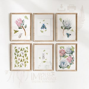 King Protea Printable Gallery Wall Art Poster Set of 3 Pink Protea Watercolour Flower Print Set of 2 Botanical Wall Décor Instant Download