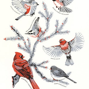 May include: Illustration of ten winter songbirds of Michigan, including a tufted titmouse, red-breasted nuthatch, black-capped chickadee, house finch, northern cardinal, and dark-eyed junco. The birds are depicted on a white background with a stylized evergreen branch.