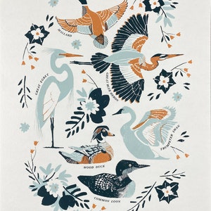 Water Birds of Michigan Poster