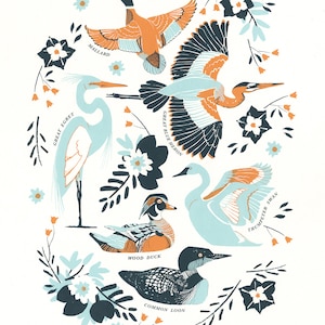 Water Birds of Michigan Screenprint