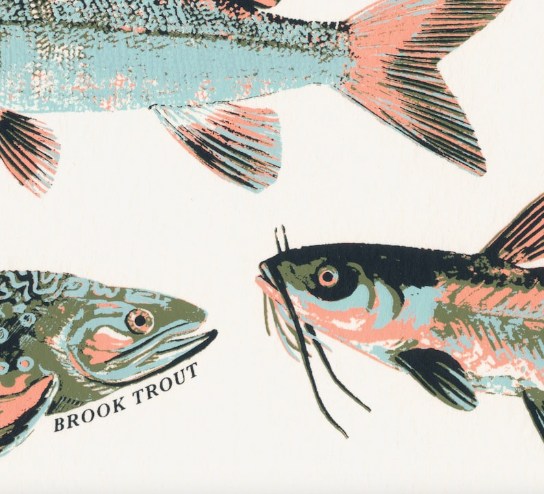 Freshwater Fish of the Great Lakes Water System Screenprint - Etsy