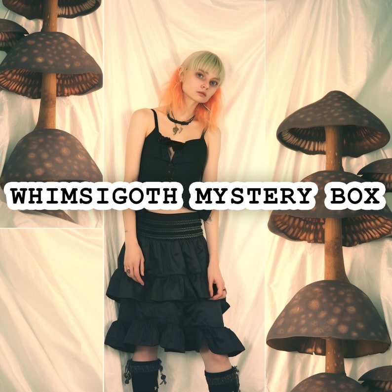 Whimsigoth Mystery Box Thrifted Vintage Fashion Whimsy Goth Style Bundle Whimsical Surprise Clothing Gift Box image 1