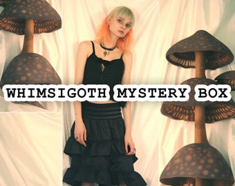 Whimsigoth Mystery Box - Thrifted Vintage Fashion Style Bundle - Surprise Clothing Gift Box - Whimsical Fairycore Gothic Outfit