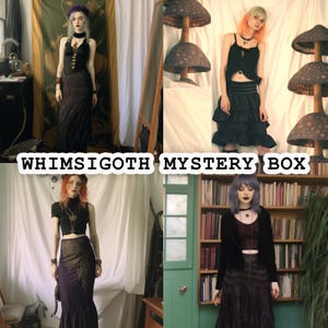 Whimsigoth Mystery Box - Pacchetto di moda vintage di seconda mano - Scatola regalo di abbigliamento a sorpresa - Abito gotico Whimsigoth Fairycore Pinterest